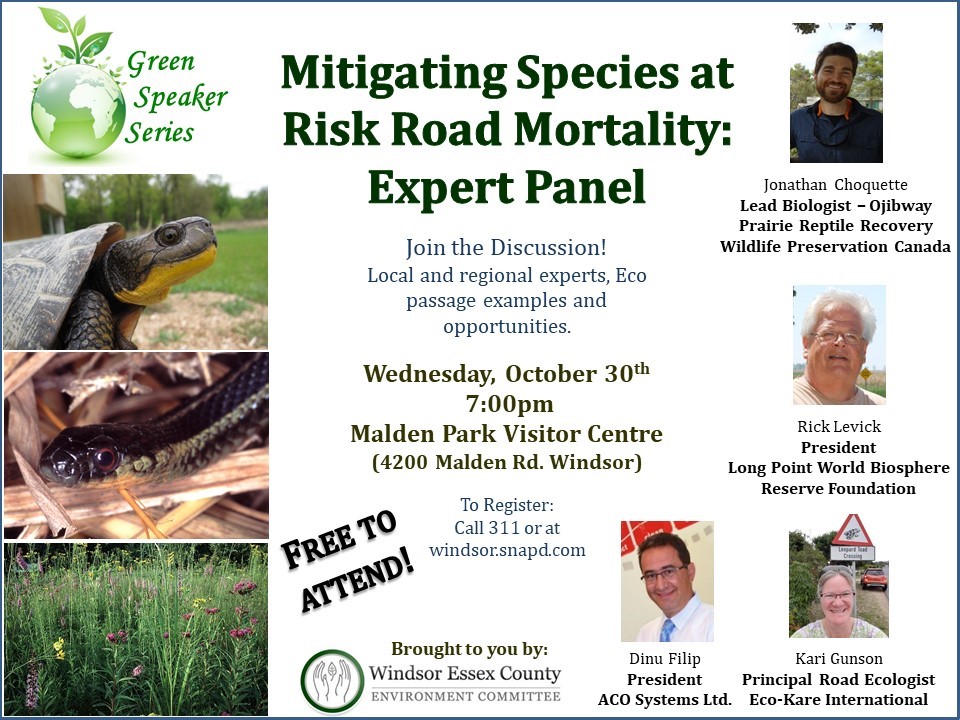 Mitigating Species at Risk Road Mortality